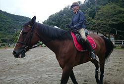 乗用馬